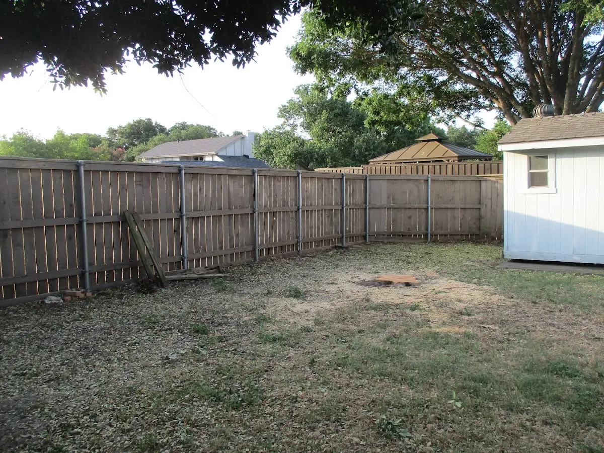 Cleared yard after professional tree removal in Louisville