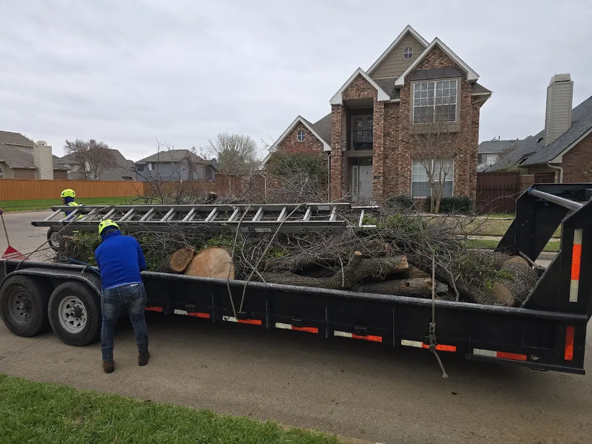 Expert Tree Fertilization with proper safety equipment in Louisville